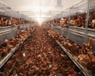 At last, a victory for rivers over megafarms: now councils can’t treat toxic waste as someone else’s problem | Charles Watson