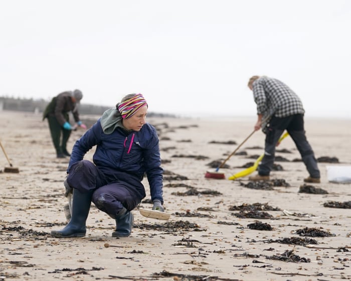 MP calls for ban on ‘biobeads’ at sewage works after devastating Camber Sands spillage