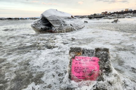 a poem is affixed to a rock near the carcass of a dead whale