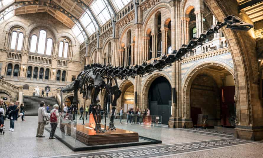 Dinosaur on tour: host venues for Dippy the diplodocus announced | Dinosaurs | The Guardian