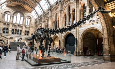 Dippy in the position he has occupied since 1979.