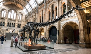 Dippy the Diplodocus Dinosaur at the Natural History Museum