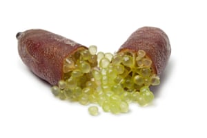 Un citron vert fendu.