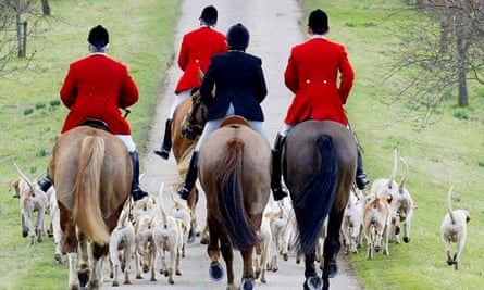 Foxhunting Ban Being Ignored Say Environmental Groups Hunting The Guardian