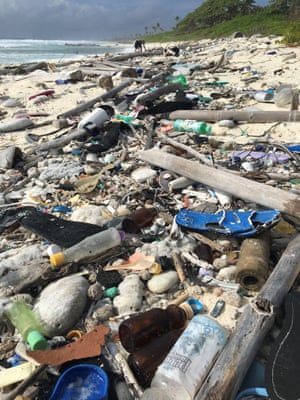 Garbage on the beach on South Island.