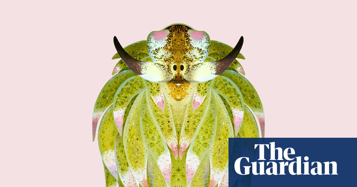 ‘You’d want one as a pet’: the irresistibly cute solar-powered sea slug
