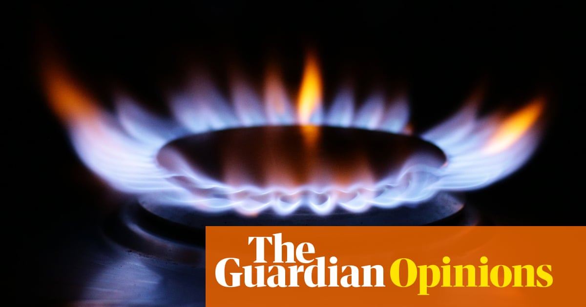 The latest hot potato? Gas stoves. Will the culture wars never end? | Emma Beddington