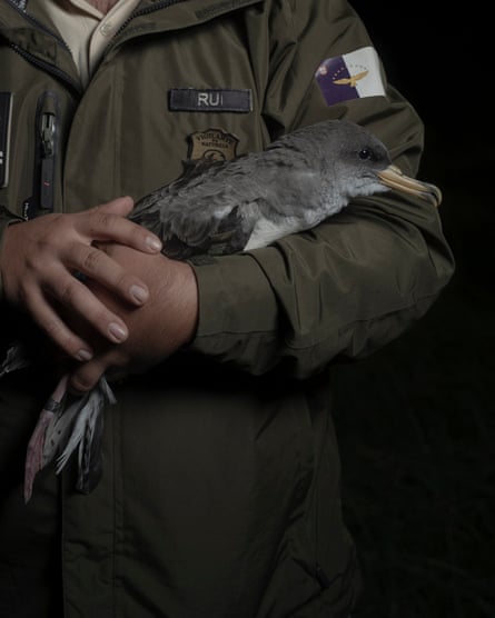 A man in a uniform cradles a large bird