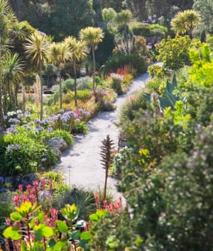 Subtropical island: Tresco Abbey Garden.
