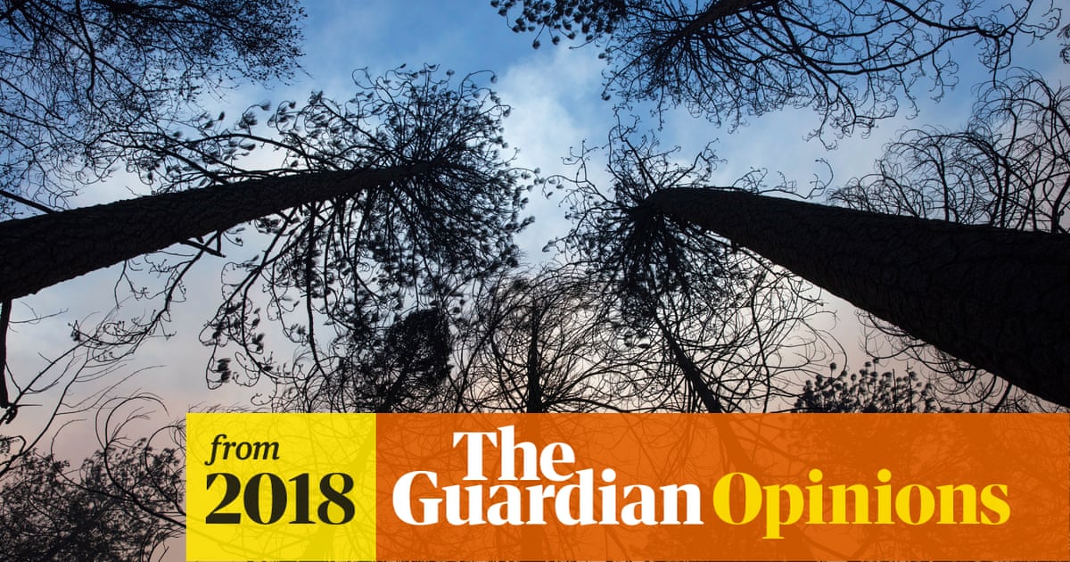 Big Oil v the planet is the fight of our lives. Democrats must choose a side | David Sirota
