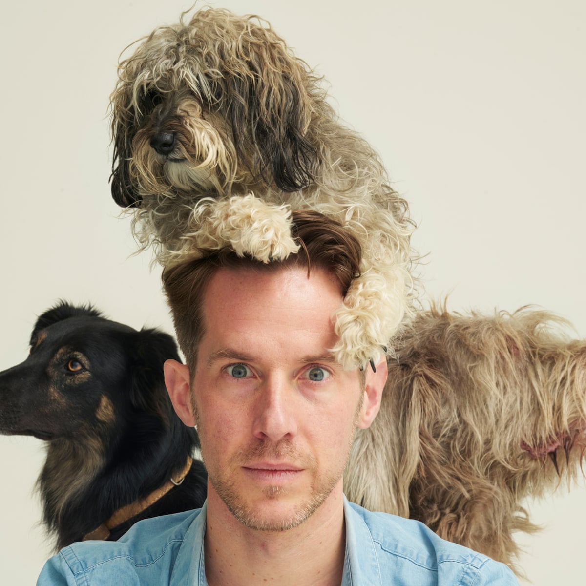 Britain Is A Dog Crazy Nation But It S Ok To Be Dognostic Pets The Guardian Britain Is A Dog Crazy Nation But It S Ok To Be Dognostic Pets The Guardian