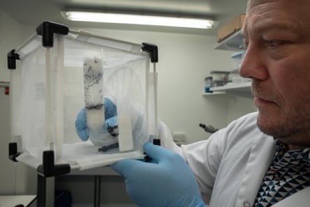 A laboratory setting for breeding mosquitoes for disease control