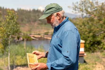 Farmer Karl Wenner examines the pollen collected from bees at Lakeside Farms.