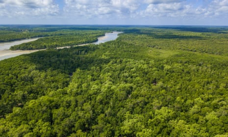 Global Witness said its findings came amid concerns that the Amazon may reach ‘an irreversible tipping point’.
