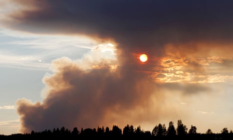 A wildfire in Sweden last week, one of an epidemic