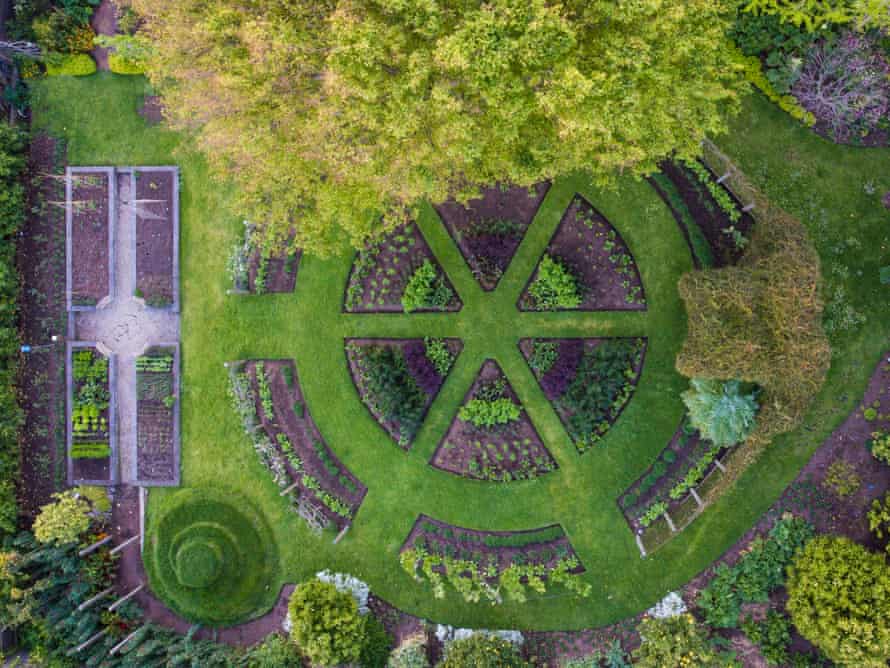 The lawn reborn: gardeners on making grassy spaces smarter, smaller and wilder | Australian lifestyle