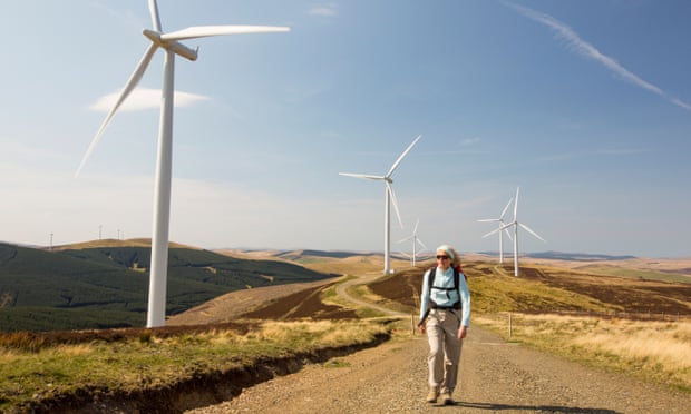 A woman walking along a trail lined with wind turbines