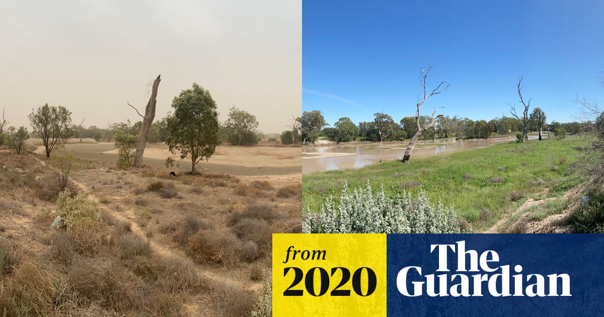 Before and after the drought: how one Australian family farm sprang back to life - in pictures