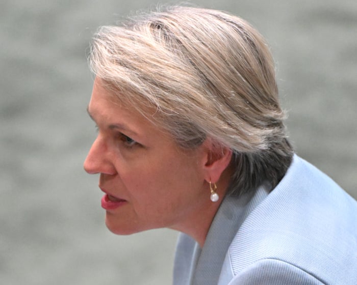 News live: limits on smartglasses being considered, Plibersek says; missing Australian woman located safely in Nepal