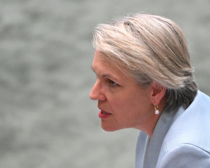 News live: Plibersek says pornography normalises strangulation for young Australians; Sydney’s first case of bird flu confirmed