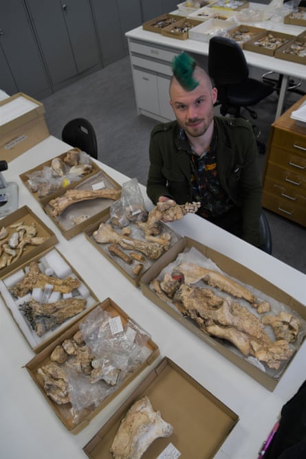 Flinders University PhD candidate Jacob Van Zoelen with the partial skeleton of Ambulator keanei.