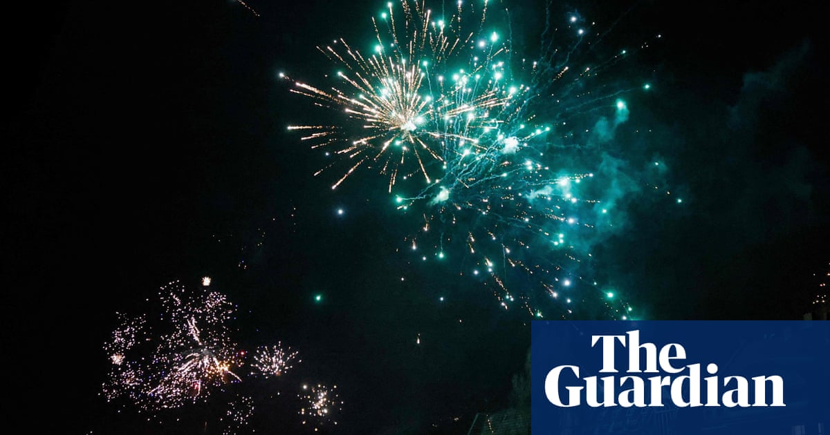Germany calls for fireworks ban after attacks on rescue services