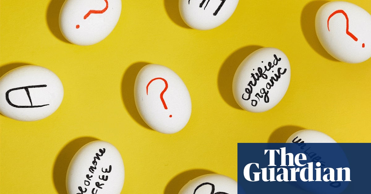 Egg labels, egg-splained: from cage-free to free-range, how to eat ethically and economically | Eggs