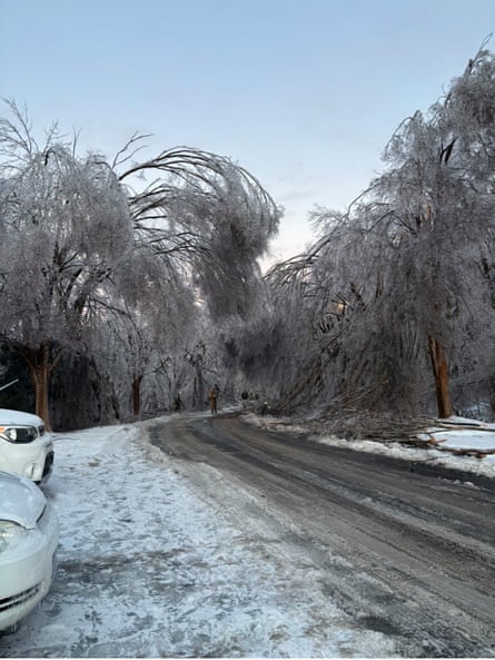 Icy trees and a road with tire tracks