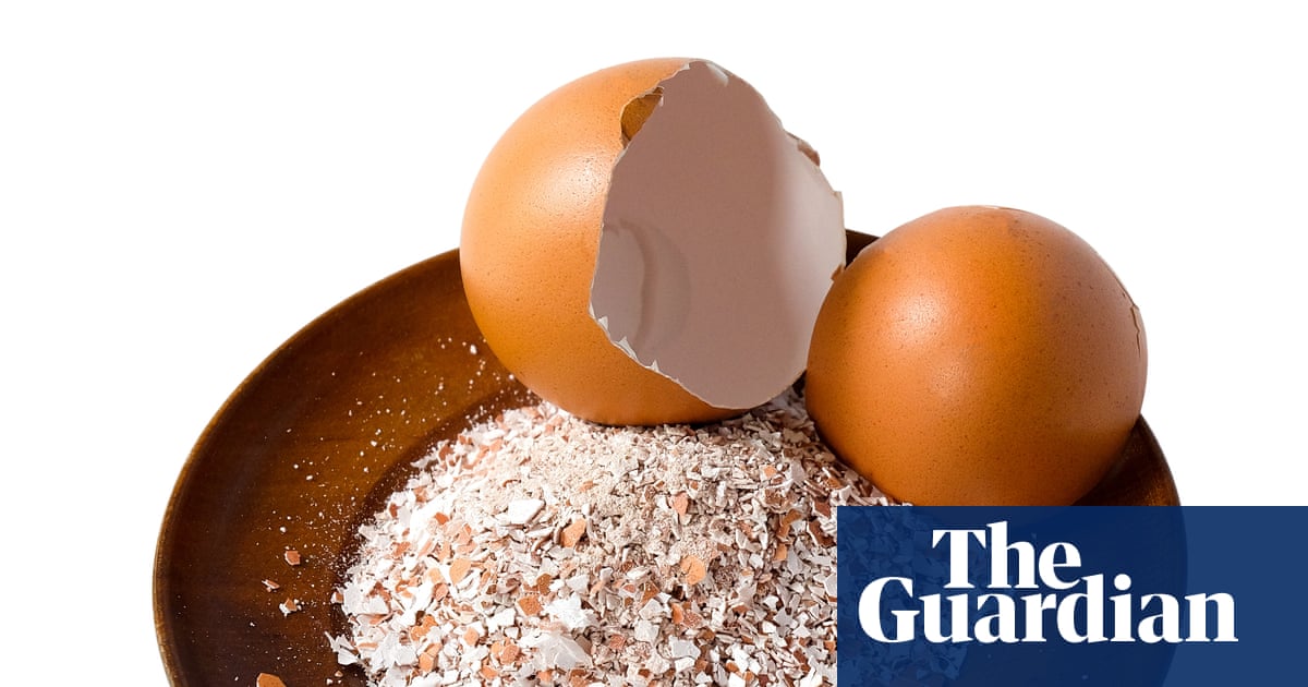 Houseplant hacks: do eggshells deter fungus gnats from laying eggs?