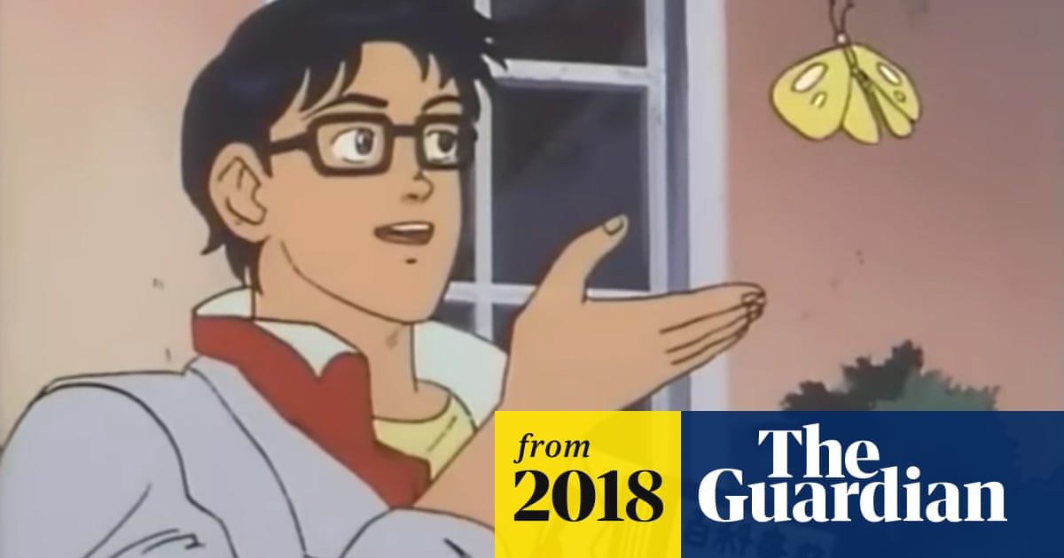 Is This A Pigeon The Story Behind The Internet S New Favorite Meme Social Media The Guardian