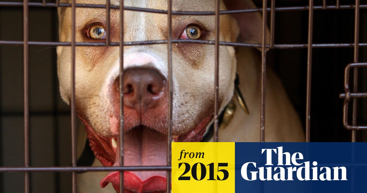 hospital admissions for injuries caused