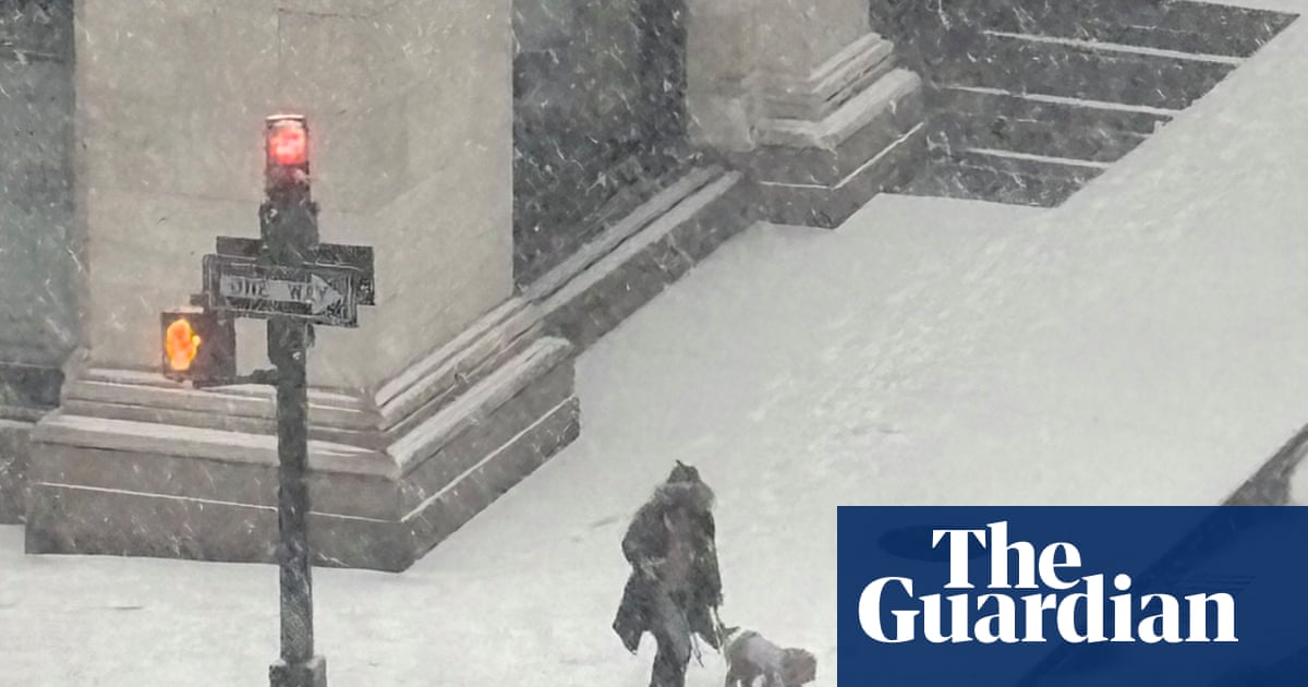 People were carrying their dogs across the ice': Adela Ramirez's best phone picture