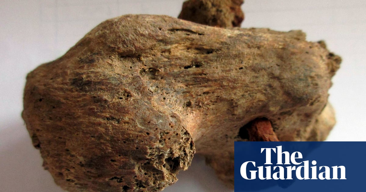 Best physical evidence of Roman crucifixion found in Cambridgeshire