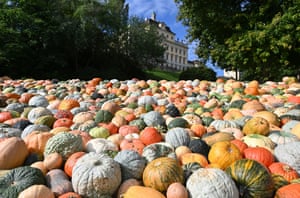 Pumpkins of different shapes and sizes cover the ground in front of the castle