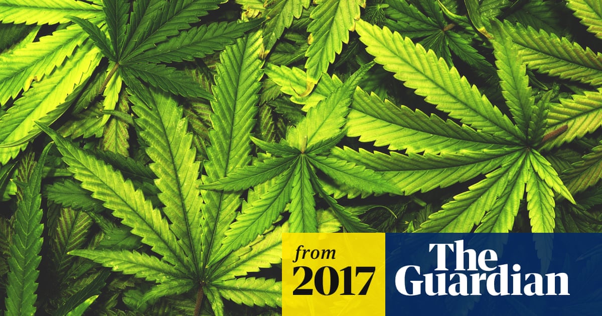 Hemp: how one little plant could boost America's economy
