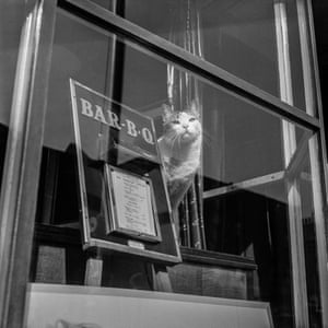 Own A Limited Edition Print By Observer Photographer Jane Bown