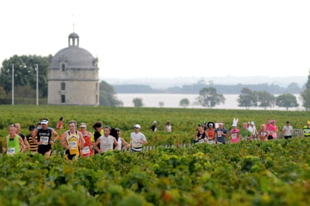 Marathon runners passing through French vineyard
