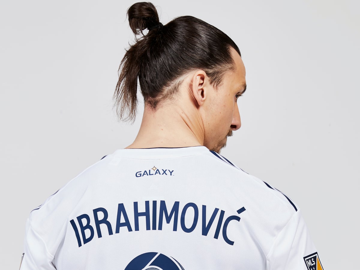 Get Zlatan Ibrahimovic Hair Images