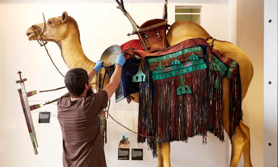 A Horniman technician adjusts the Tuareg camel saddle on display in the World Gallery.