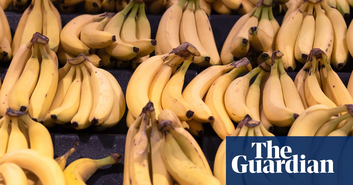 Price hikes and shortages flagged after banana crops ‘cop a flogging’ in north Queensland floods | Queensland Price hikes and shortages flagged after banana crops ‘cop a flogging’ in north Queensland floods | Queensland