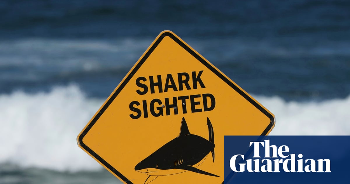 Half of all fatal shark attacks happen in Australia. How can you protect yourself – and do electronic deterrents work?