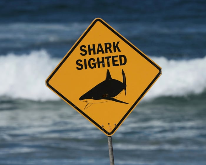A swimmer was attacked by a shark at one of Australia’s most popular beaches. How rare is it