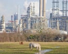 Prax Lindsey oil refinery owners urged to ‘do decent thing’ for workers