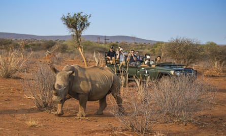 White Rhino and safari-goers in South Africa