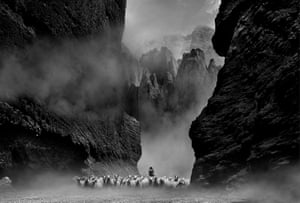 Zhao Jinli: Shepherd on an Ancient Road, Longwan Canyon, Gansu, China, 2017