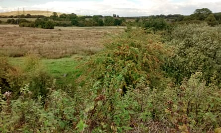 The rough meadows earmarked for HS2’s new Birmingham interchange station, Middle Bickenhill.