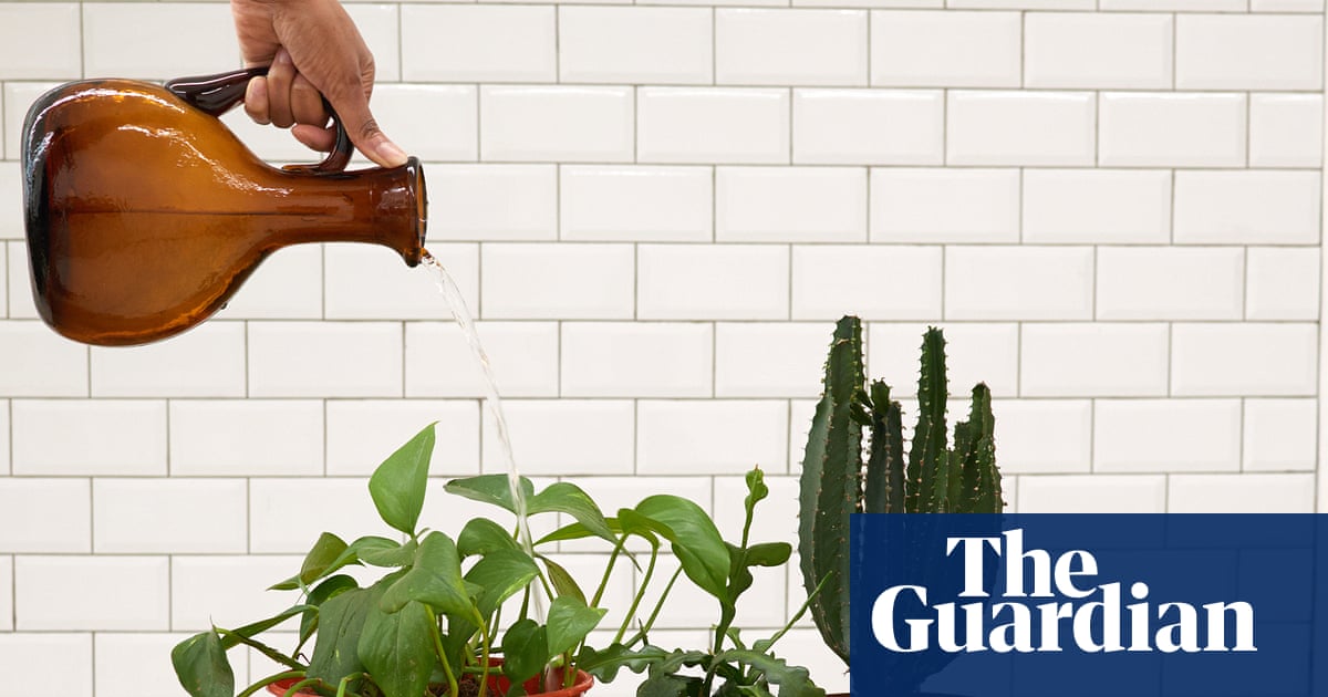 Houseplant hacks: are repotting mats a waste of money?