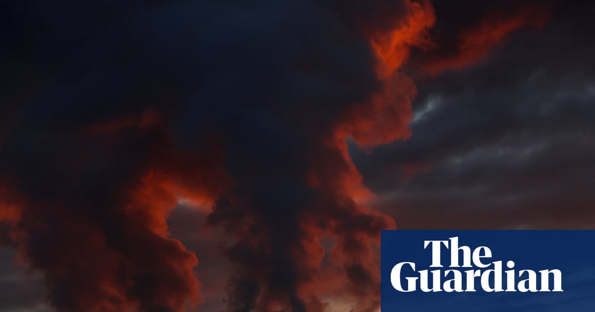 UK using more wood to make electricity than ever, Drax figures show