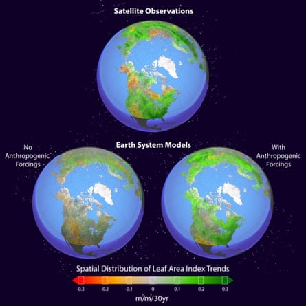 The spatial distribution of the linear trends in the growing season (April–October) leaf area index during the period 1982–2011 in the mean of satellite observations (upper figure), Earth system model (ESM) simulations with natural forcings alone (lower left figure), and ESM simulations with anthropogenic and natural forcings (lower right figure).