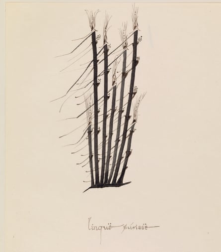 Tolkien’s “grass in the wind” drawing, dating from the 1960s. The image has never been on public display before. 